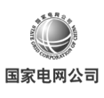 国家电网公司