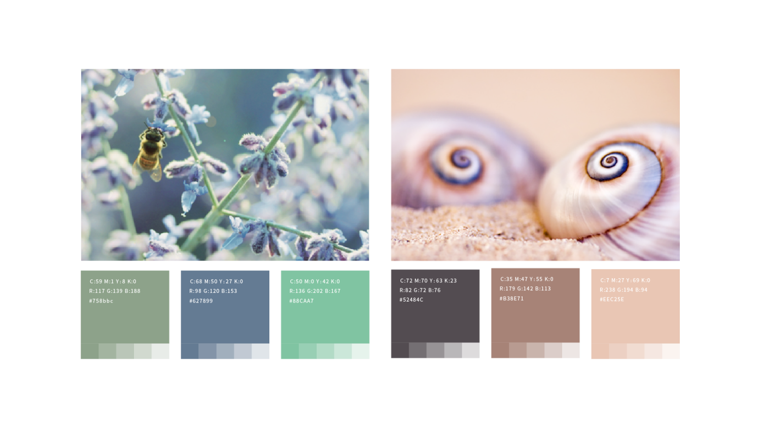 米兰妮VI设计案例