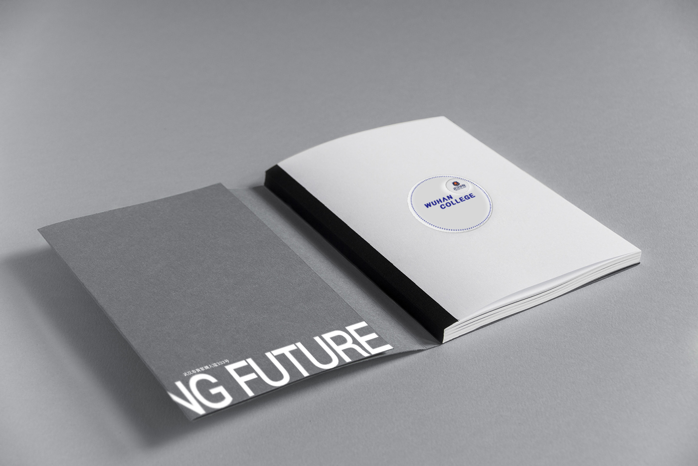武汉学院画册设计案例
