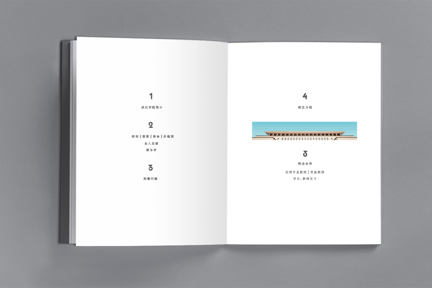 武汉学院画册设计案例