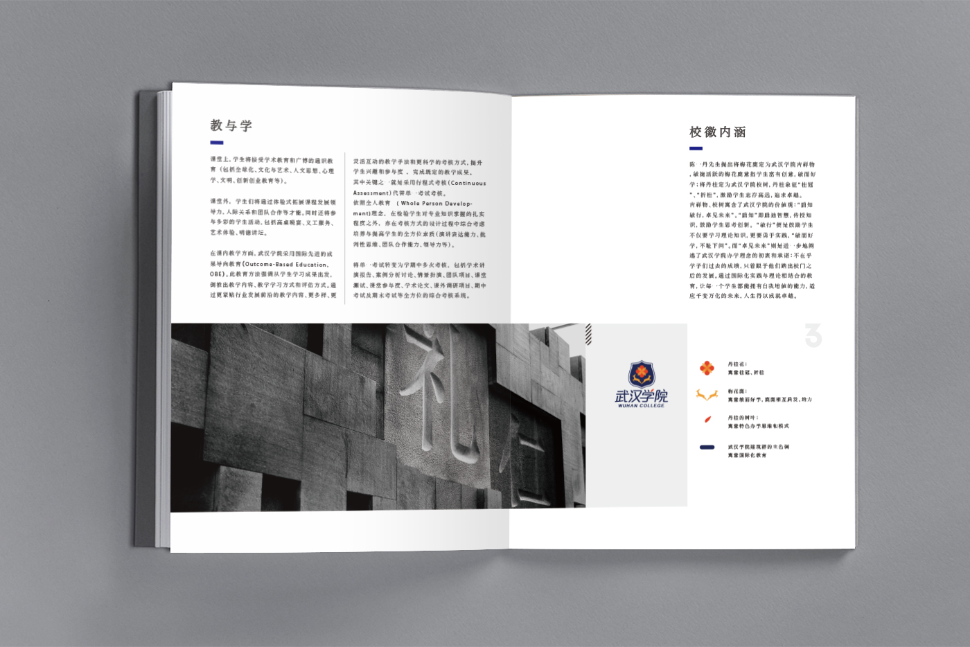 武汉学院画册设计案例