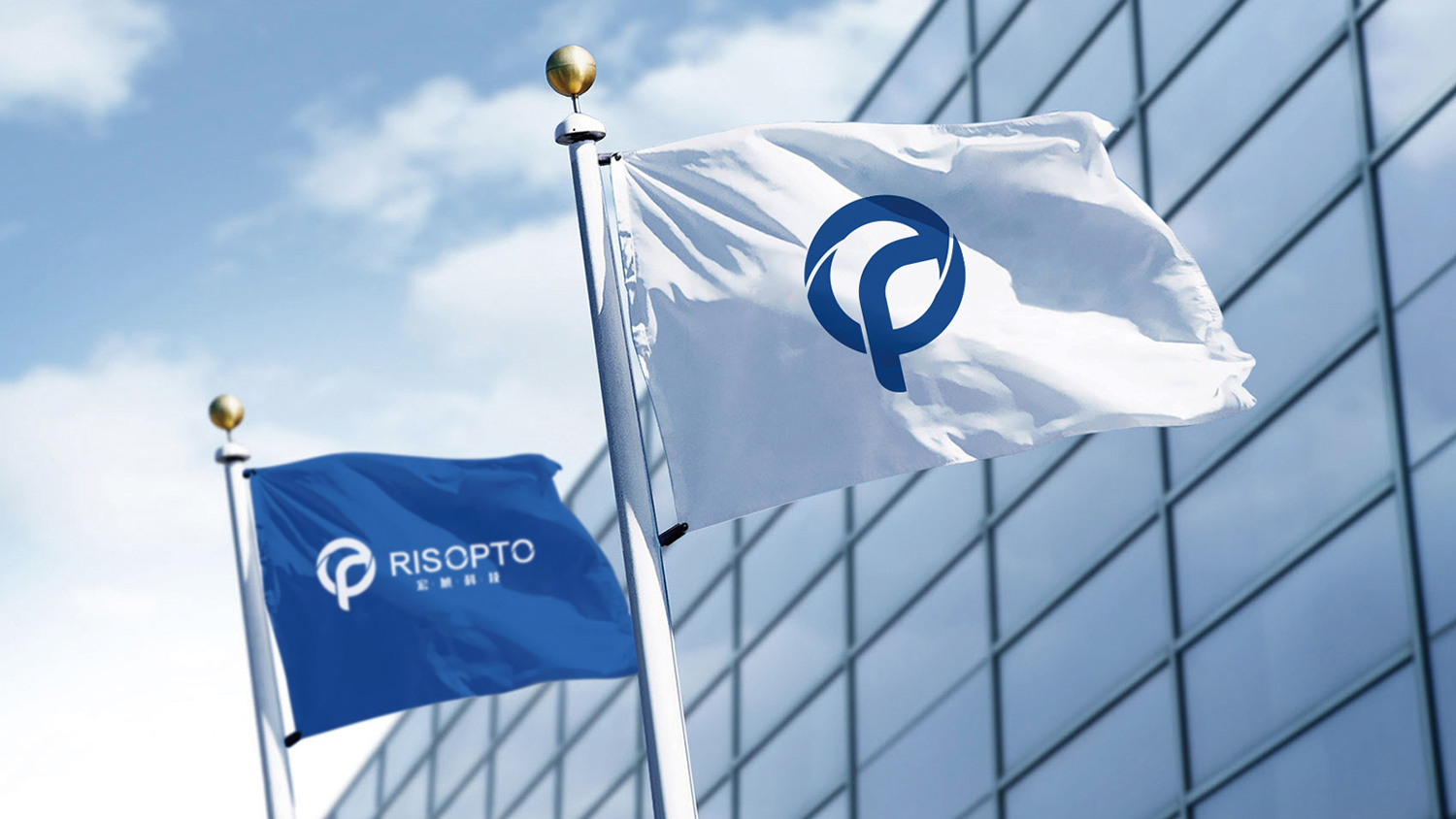 宏旭科技vi设计案例