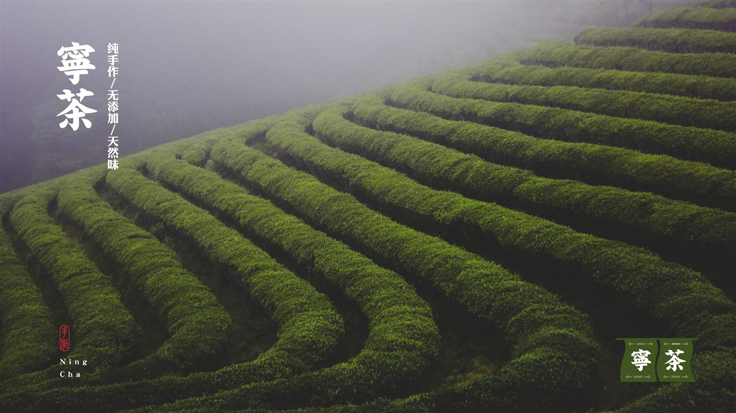 宁茶vi设计案例